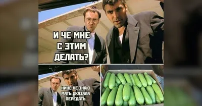 Надеюсь, вам понравятся эти заголовки!