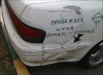 Фото автомобилей смешные и забавные моменты