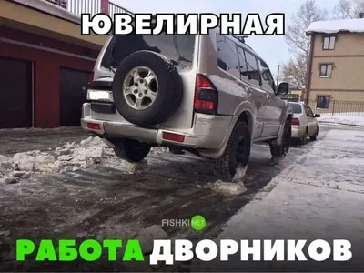 Смех и автомобили: фото, которые вызовут улыбку