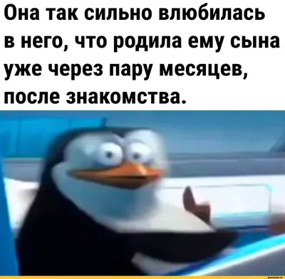 Веселые и забавные снимки про бабников: настроение гарантировано