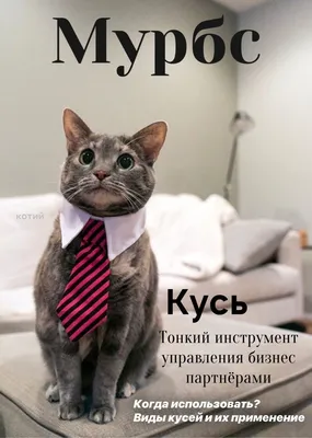 Юмористический взгляд на бизнес: фотографии, которые подарят улыбку.