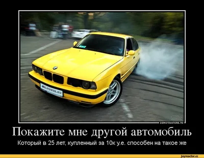 Улыбнитесь вместе с BMW: смешные и оригинальные фото