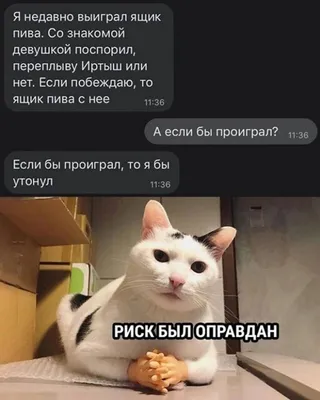 Забавные снимки, связанные с алкоголем