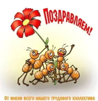 Скачать бесплатно смешные картинки про директора в хорошем качестве