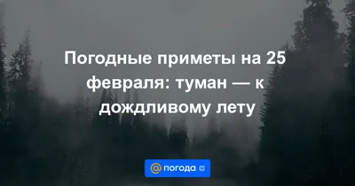 Улыбнитесь вместе с этими смешными фотографиями про дождливое лето