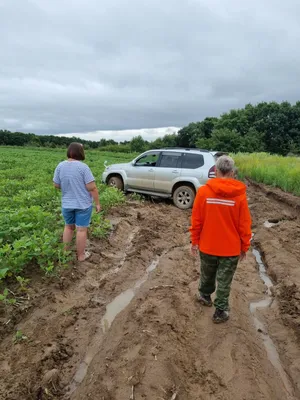 Фотографии, которые покажут вам светлую сторону дождливого лета