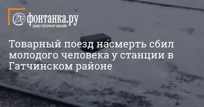 Фотографии, чтобы поднять настроение в дождливую погоду