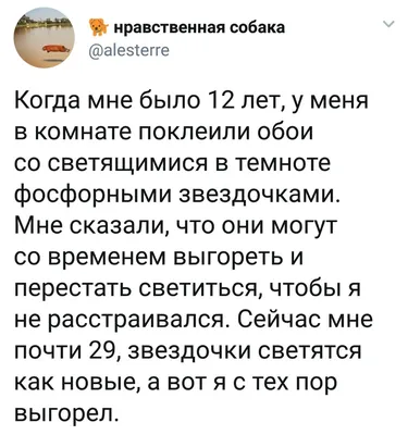 Улыбнитесь с этими смешными моментами на фото