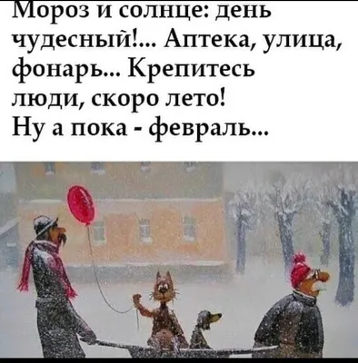 Смешные картинки про февраль