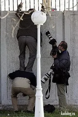 Смешные фотографии про фотографов: выбери размер изображения и скачай бесплатно