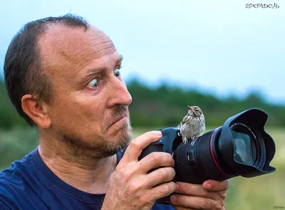 Смешные картинки про фотографов: выберите размер изображения и скачайте в формате PNG