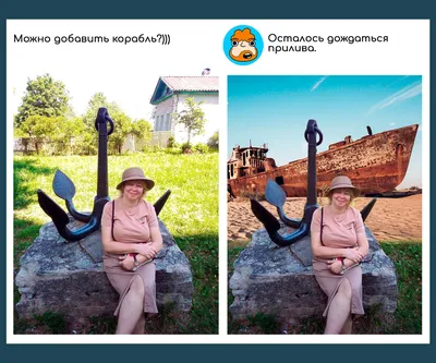 Юмористические снимки профессиональных фотографов