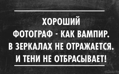 Смешные фотографии про фотографов: выбери размер изображения и скачай бесплатно