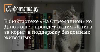 ФСБ в необычных ситуациях: забавные фотографии, которые развеселят вас!