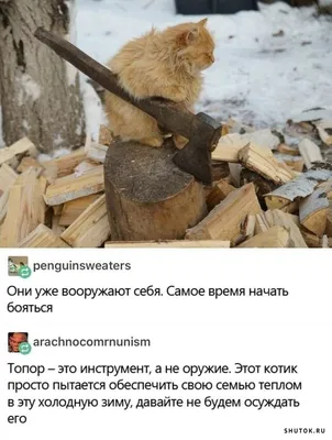 Зимние фотографии с юмором