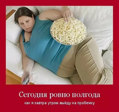 Скачать смешные картинки про худеющих в HD, Full HD, 4K разрешении