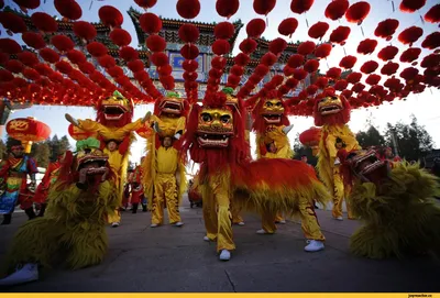 Скачать смешные картинки про китайский новый год в Full HD