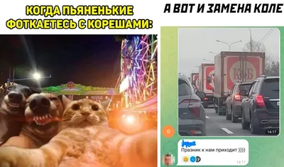 Веселые картинки про Колю, которые поднимут настроение