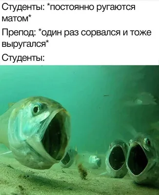 Коллеги, которые всегда веселят: смешные фотографии