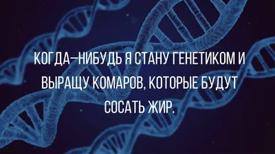 Комары на фото: забавные моменты из летних приключений