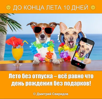 Смешные картинки про конец отпуска: улыбнитесь с этими фото!