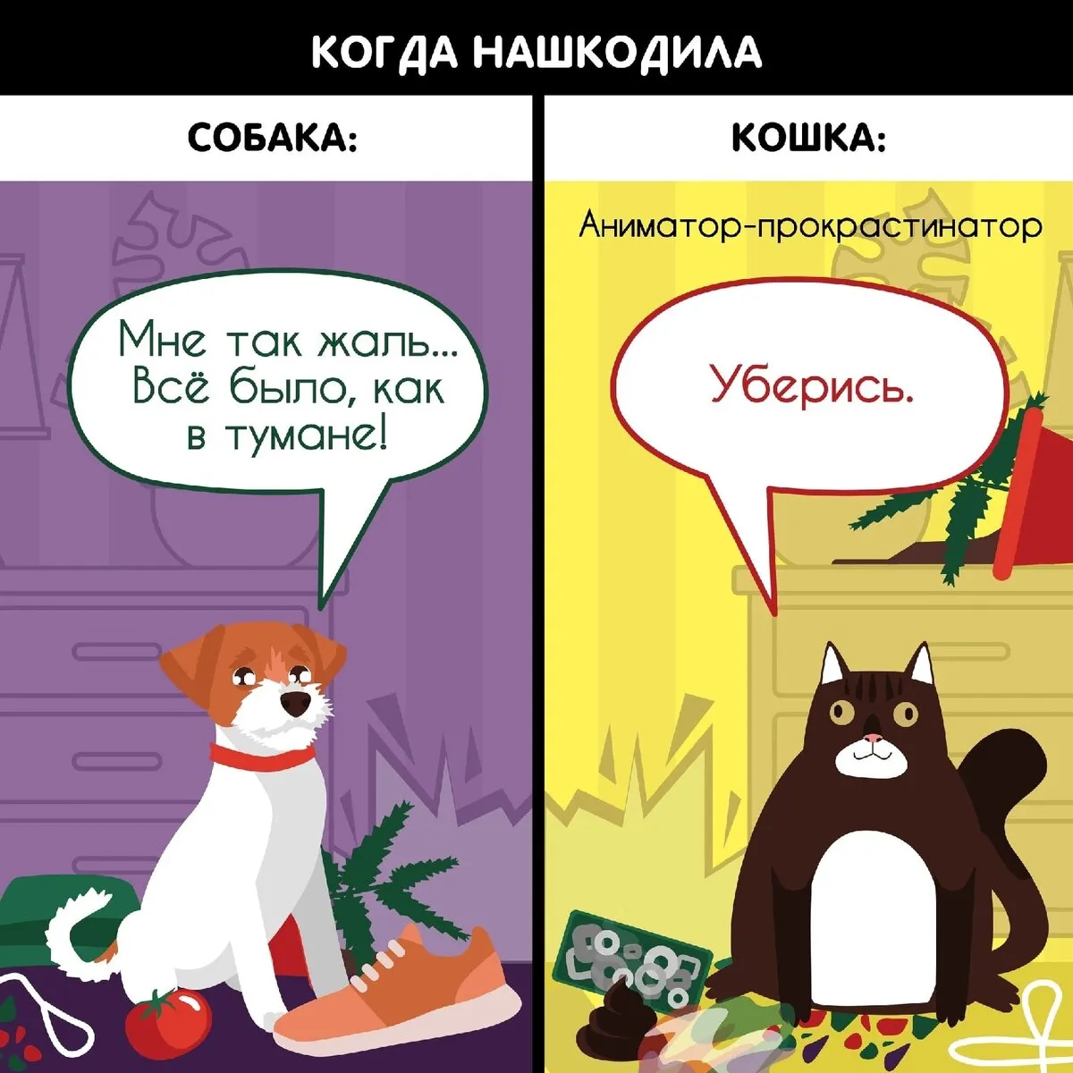 Кота с текстом