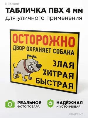 Смешные фото с котами и собаками: гарантированный подъем настроения!