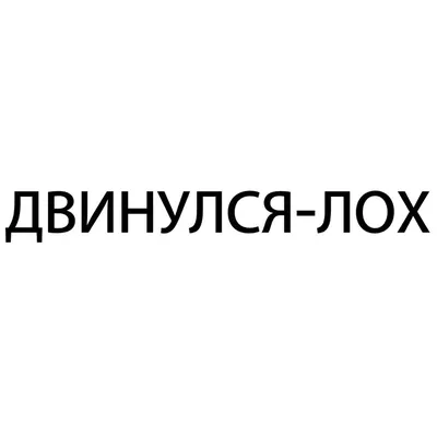 Лучшие приколы: смешные картинки про лохов, чтобы рассмешить вас!