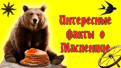 Смешные изображения про масленицу