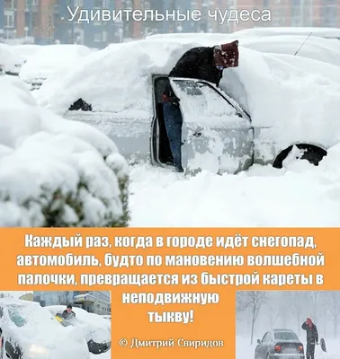 Скачать бесплатно смешные картинки про метель в формате JPG.