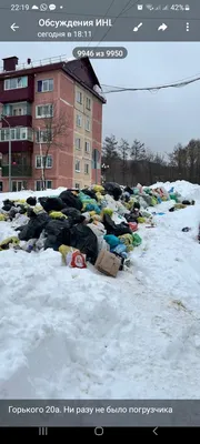 Загляните в мир смеха с фотографиями о метели