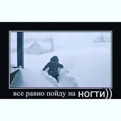 Забавные моменты на фото с метелью