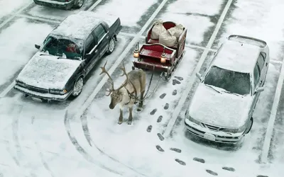 Фото метели бесплатно