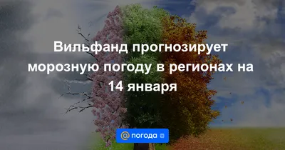 Новые смешные изображения про морозную погоду для смеха