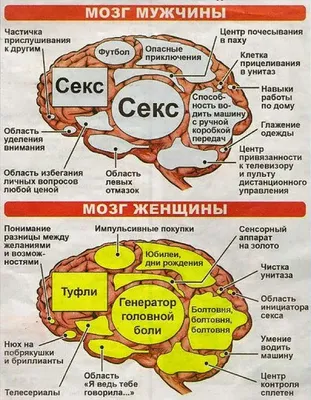 Фото, которые покажут, что мужчины и женщины живут в разных мирах.