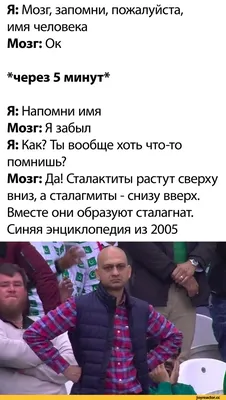 Смешные картинки про мужиков козлов для поднятия настроения