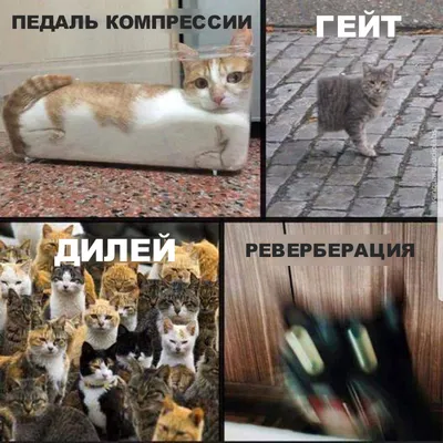 Фото, которые расскажут о музыке с юмором