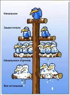 Новые смешные картинки про начальников и подчиненных в HD качестве