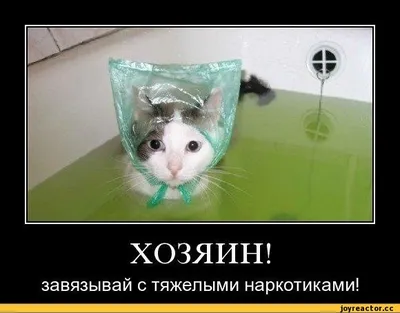 Уникальные смешные картинки про наркотики в формате JPG!