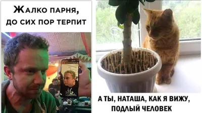 Новые смешные изображения про Наташку: скачать в формате JPG