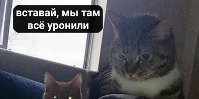 Улыбнись вместе с Наташкой: смешные фотографии!