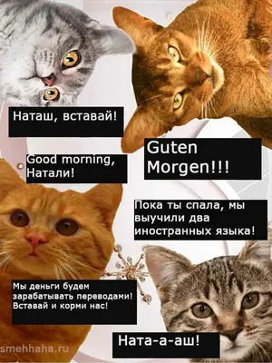 Забавные истории с Наташкой: фото, которые вызовут улыбку!