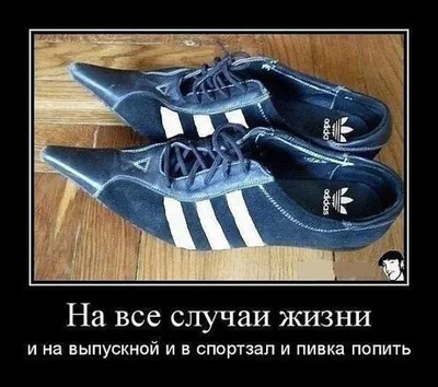 Новые фото смешных картинок про обувь