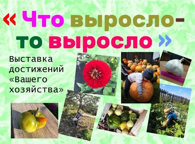 Огороднический комедийный альбом: фотоживопись для хорошего настроения