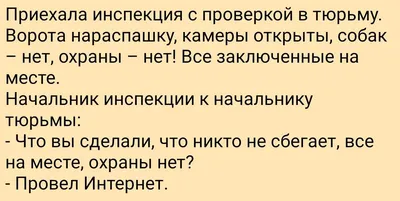 Смешные картинки про октябрь: подними настроение с новыми фото