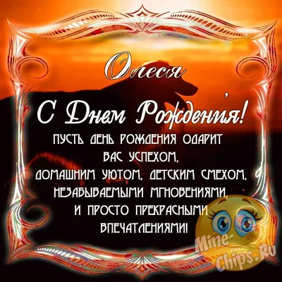 Новые смешные фото про Олесю - не упустите возможность посмеяться!