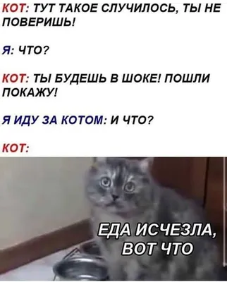 Смешные моменты с Ольгой, которые нельзя пропустить