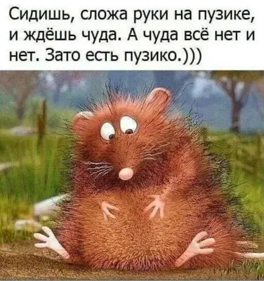 Изображения Паши: скачать в формате JPG, PNG, WebP