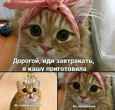 Фотографии, которые точно поднимут вам настроение