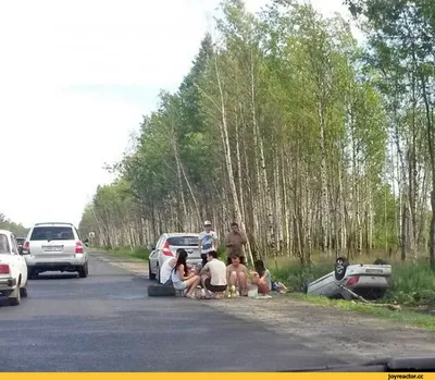 Улыбнитесь смешным картинкам про пикник!